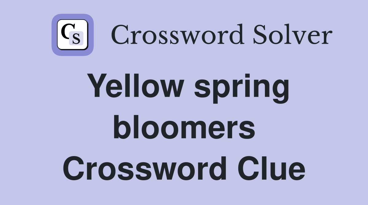 Yellow spring bloomers Crossword Clue