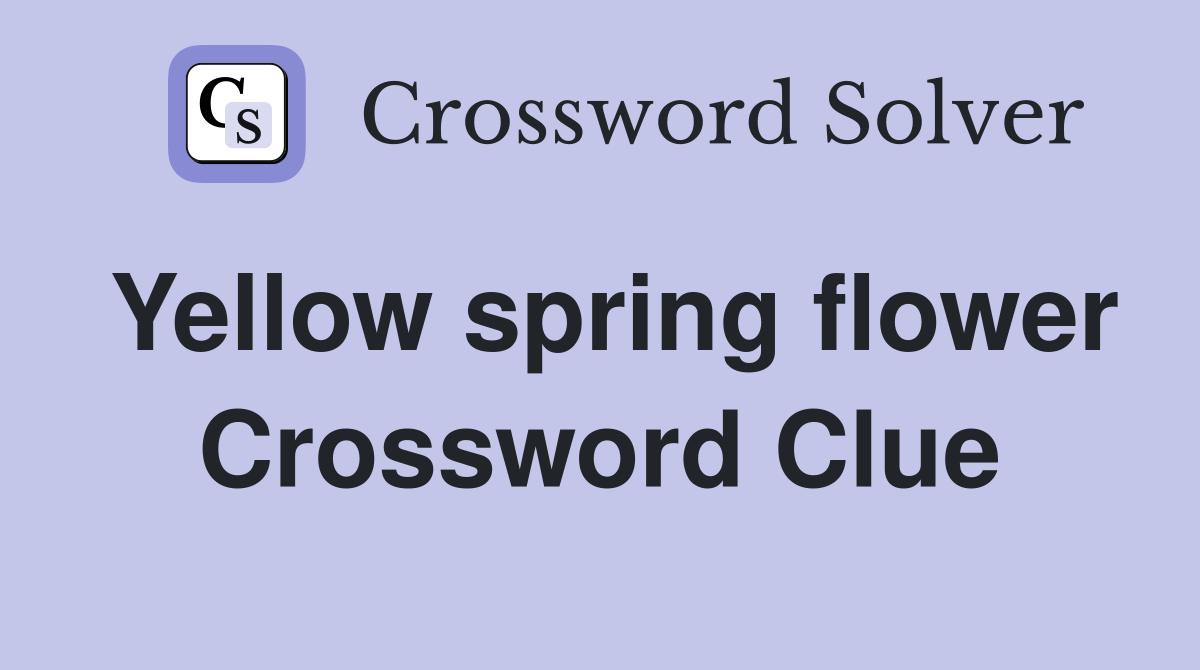 Yellow spring flower Crossword Clue