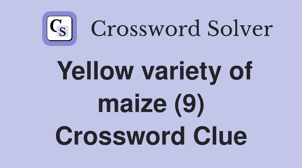 Yellow variety of maize (9) Crossword Clue
