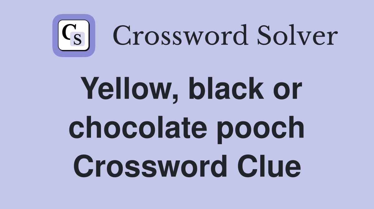 Yellow, black or chocolate pooch Crossword Clue