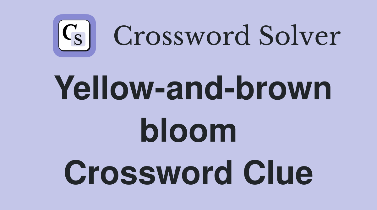 Yellow-and-brown bloom Crossword Clue