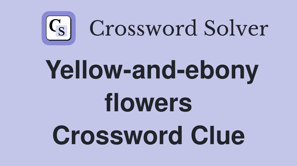 Yellow-and-ebony flowers Crossword Clue