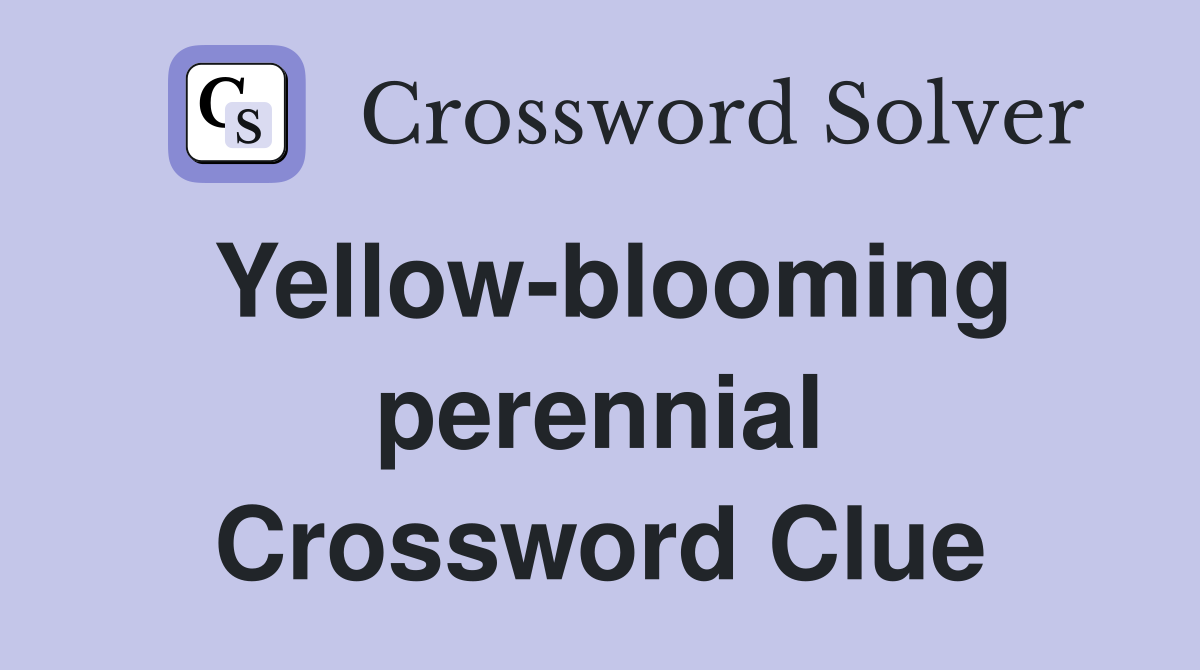 Yellow-blooming perennial Crossword Clue