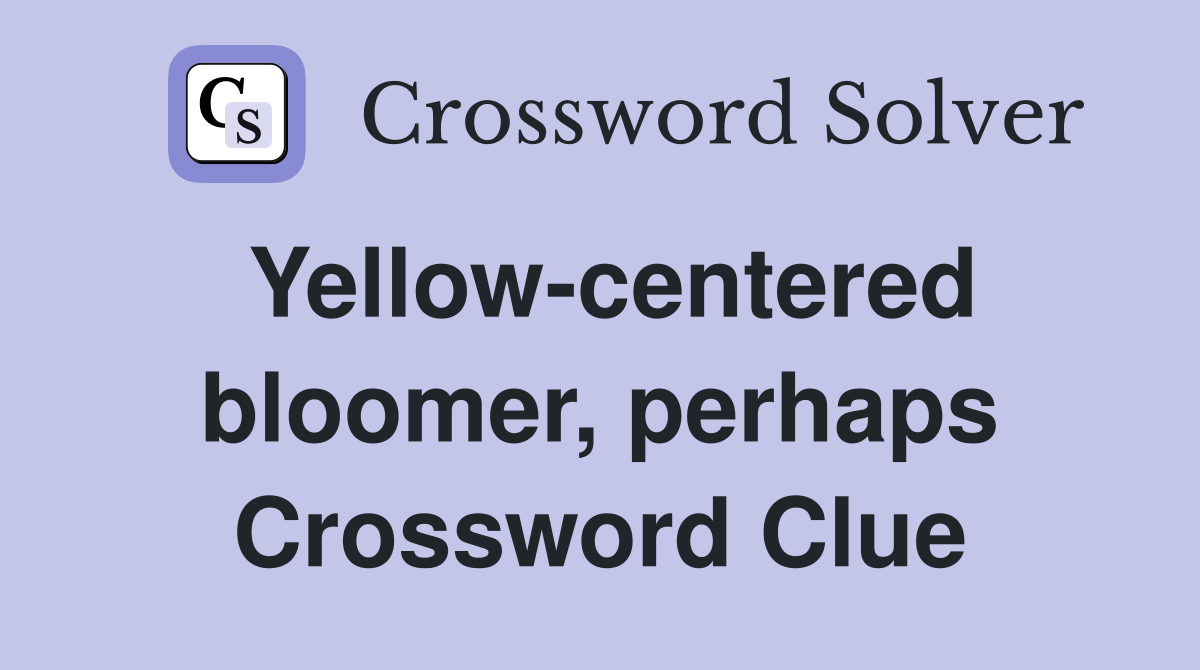 Yellow-centered bloomer, perhaps Crossword Clue