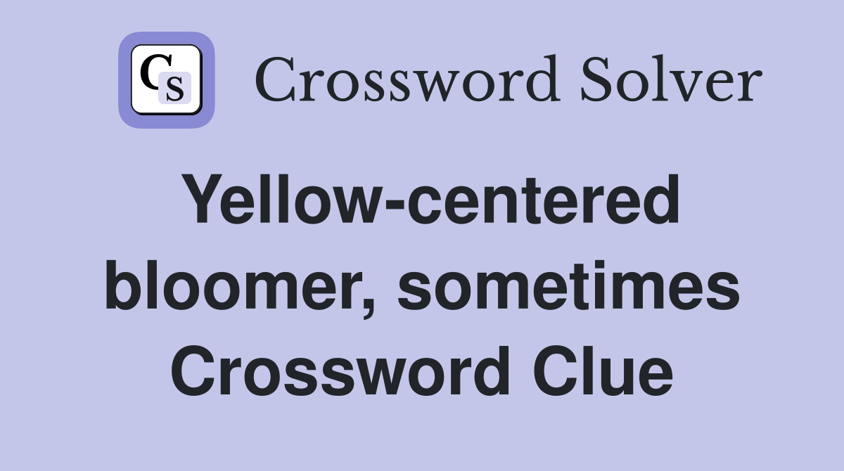 Yellow-centered bloomer, sometimes Crossword Clue