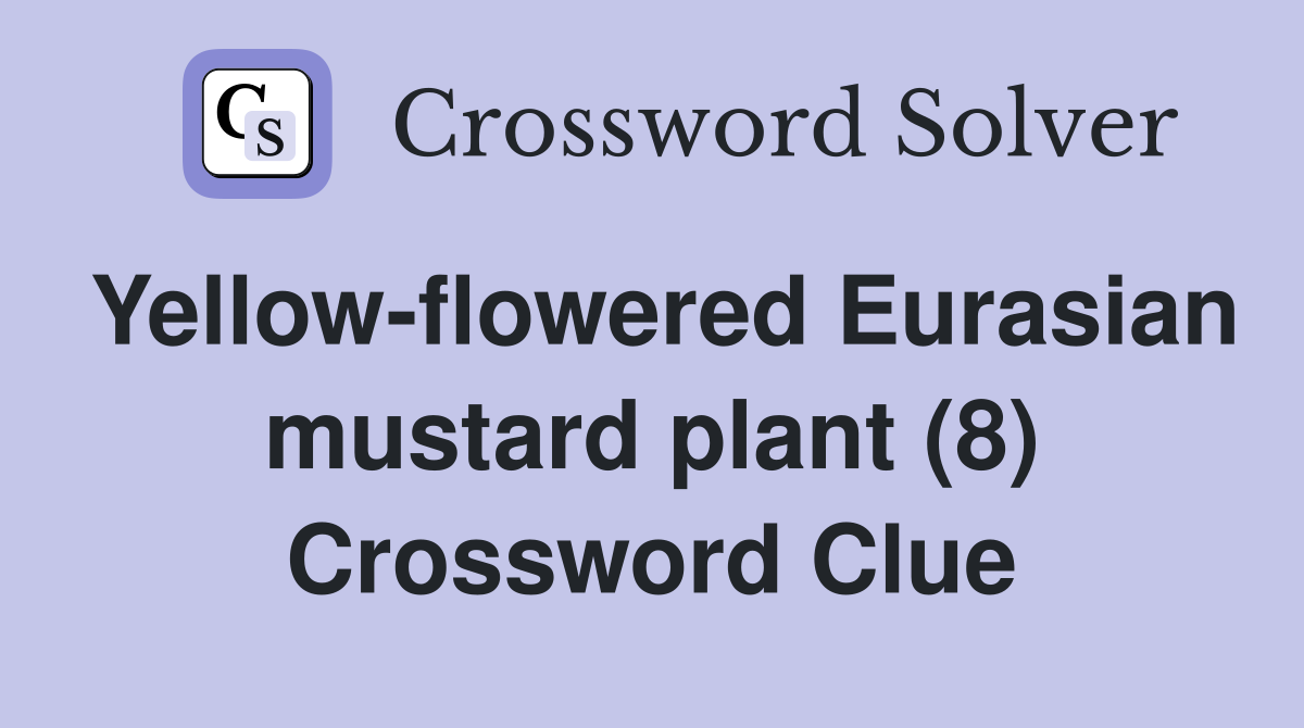 Yellow-flowered Eurasian mustard plant (8) Crossword Clue