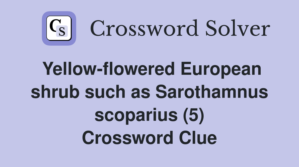 Yellow-flowered European shrub such as Sarothamnus scoparius (5) Crossword Clue