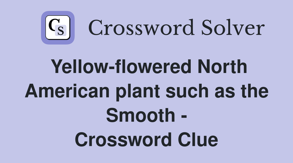 Yellow-flowered North American plant such as the Smooth - Crossword Clue