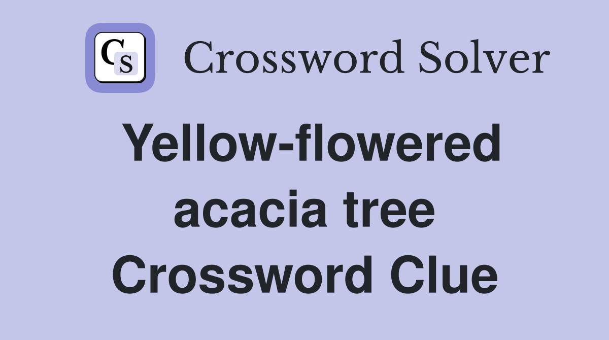 Yellow-flowered acacia tree Crossword Clue