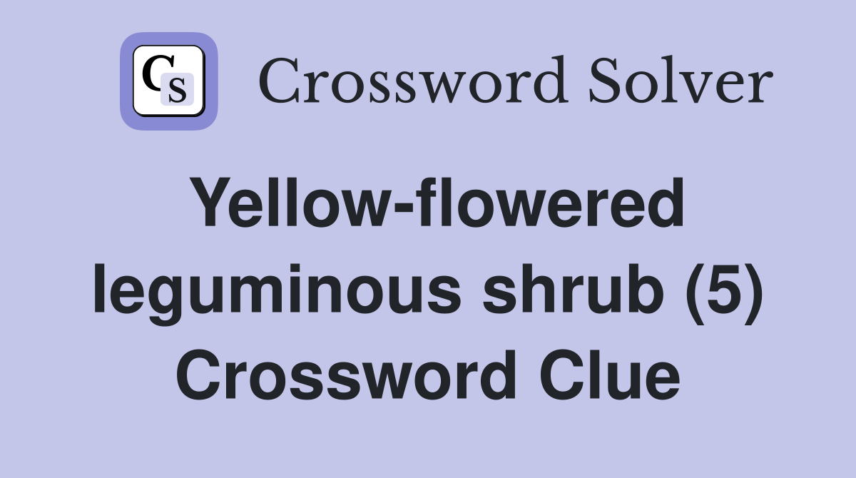 Yellow-flowered leguminous shrub (5) Crossword Clue