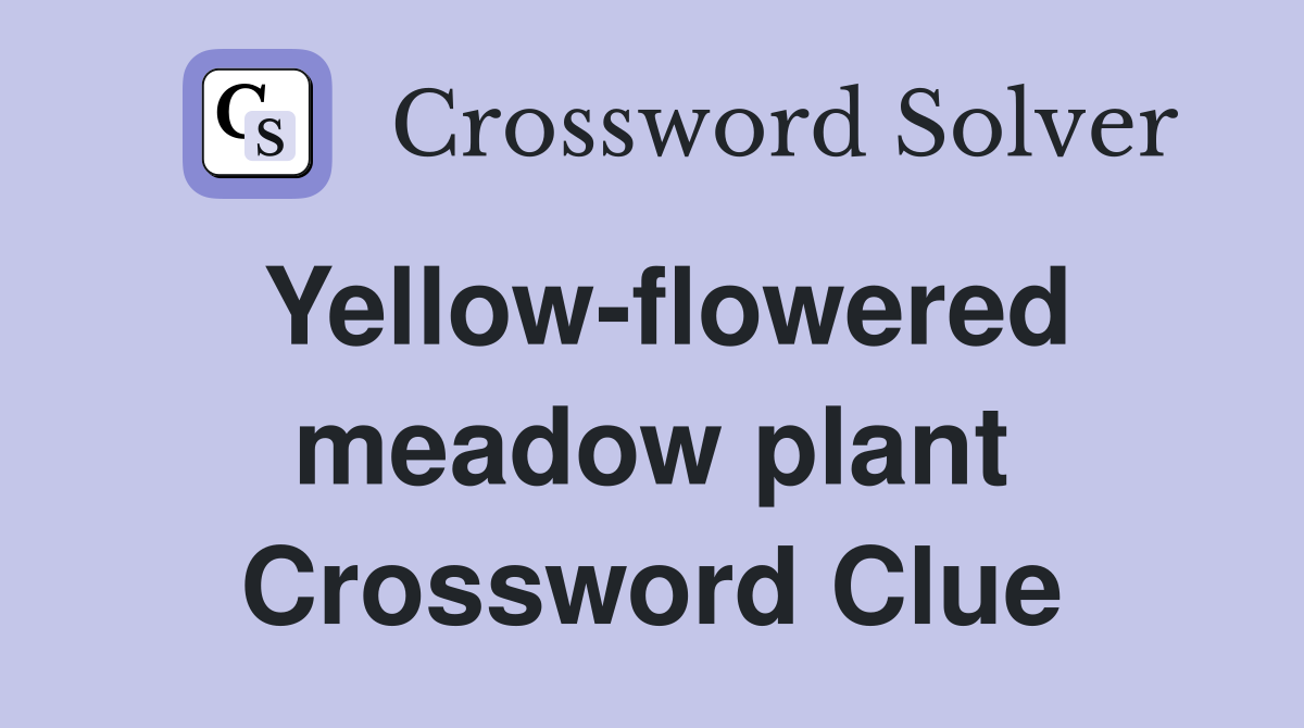 Yellow-flowered meadow plant Crossword Clue