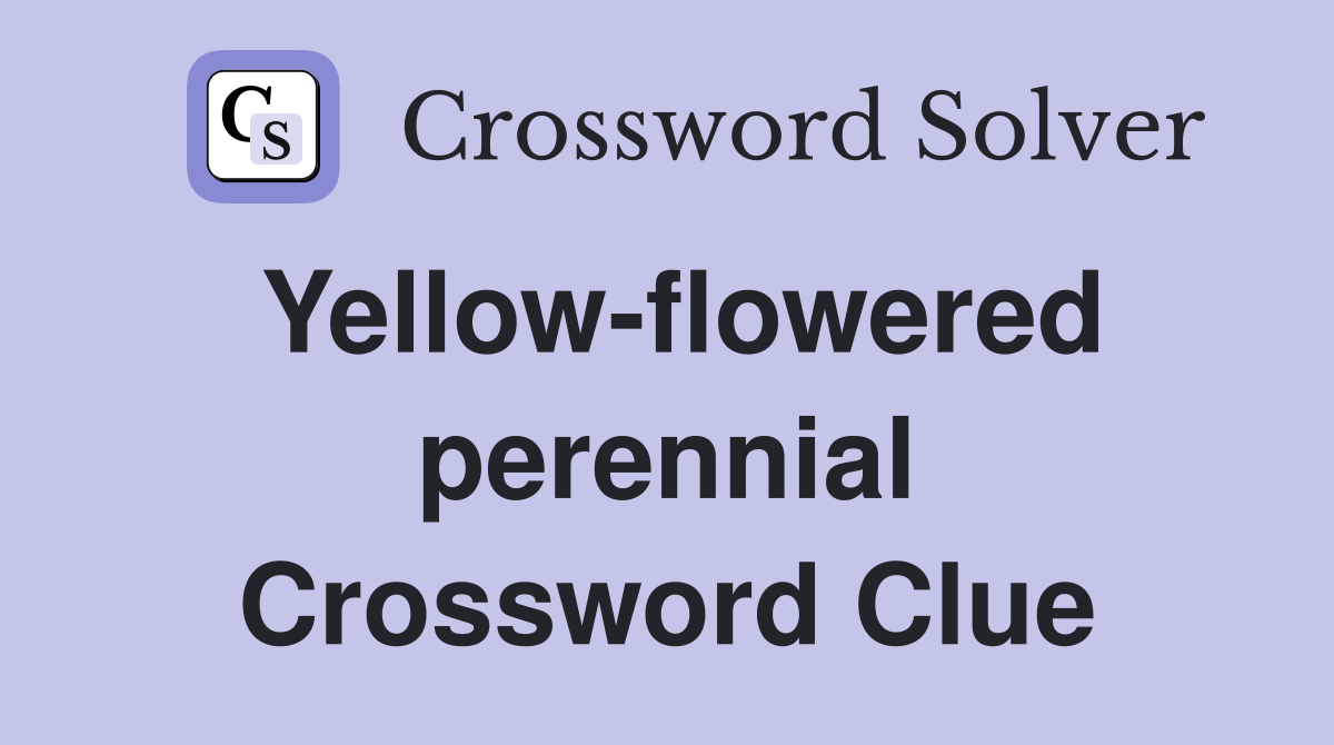 Yellow-flowered perennial Crossword Clue