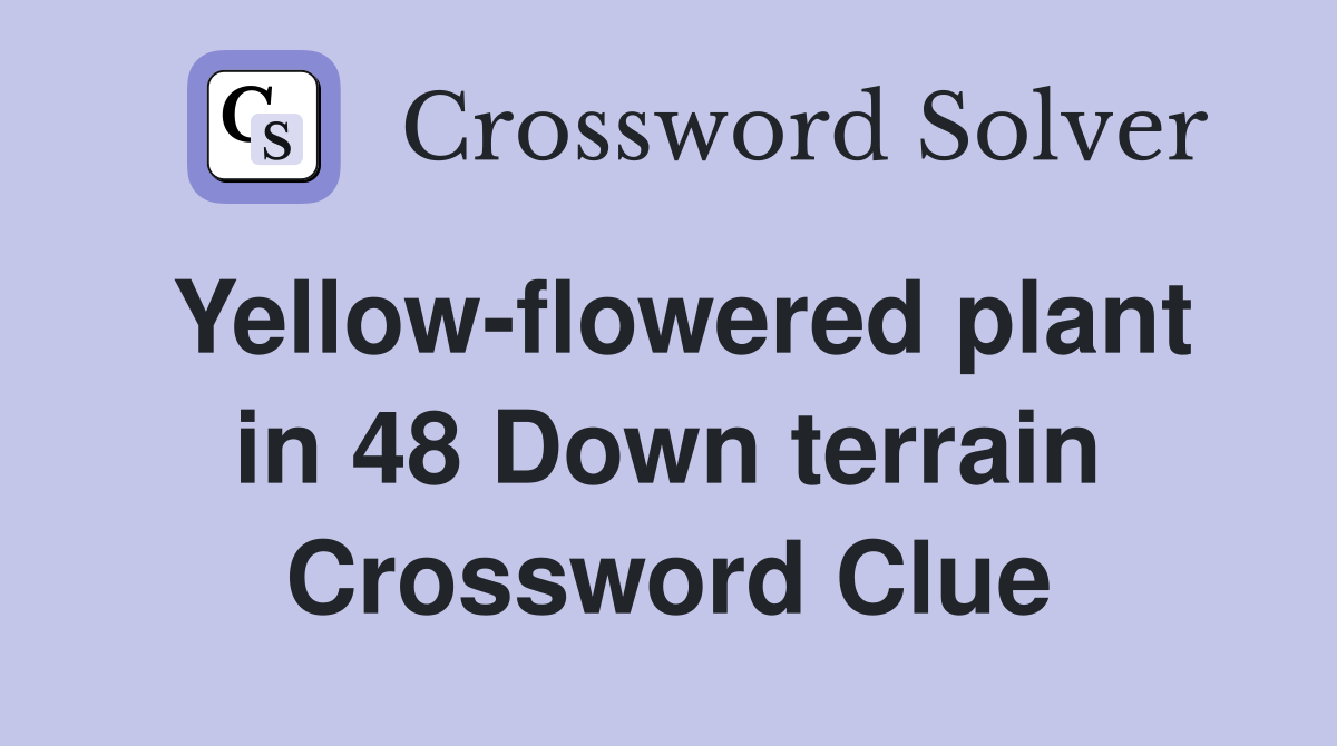 Yellow-flowered plant in 48 Down terrain Crossword Clue