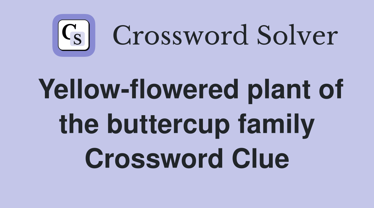 Yellow-flowered plant of the buttercup family Crossword Clue