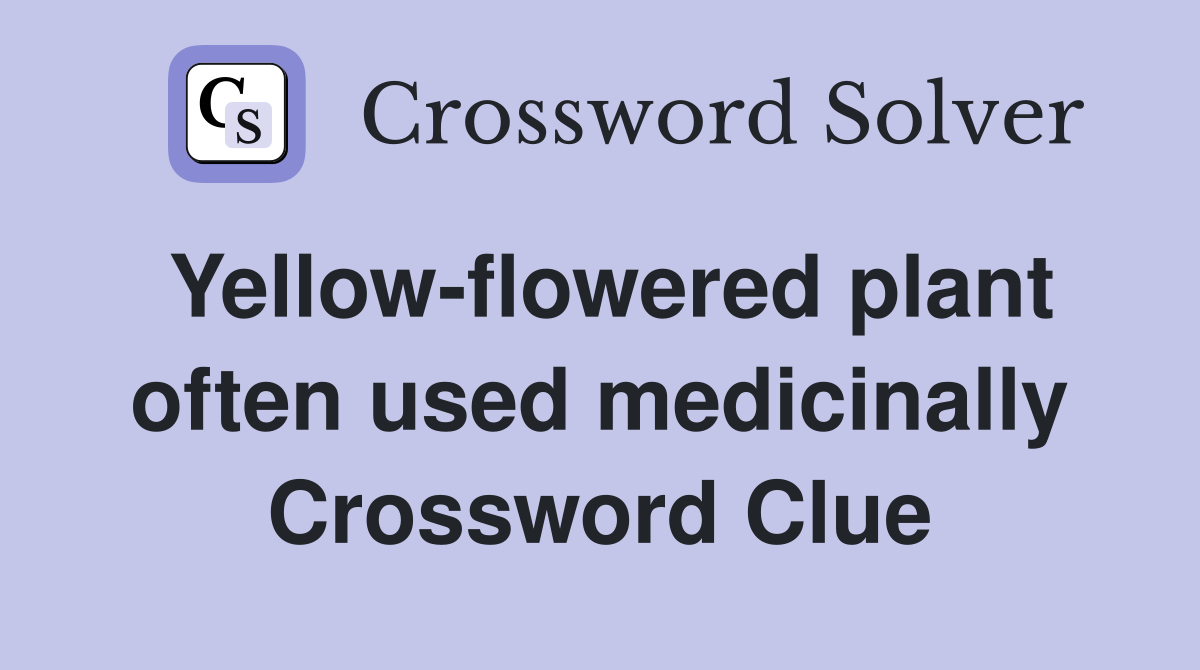 Yellow-flowered plant often used medicinally Crossword Clue