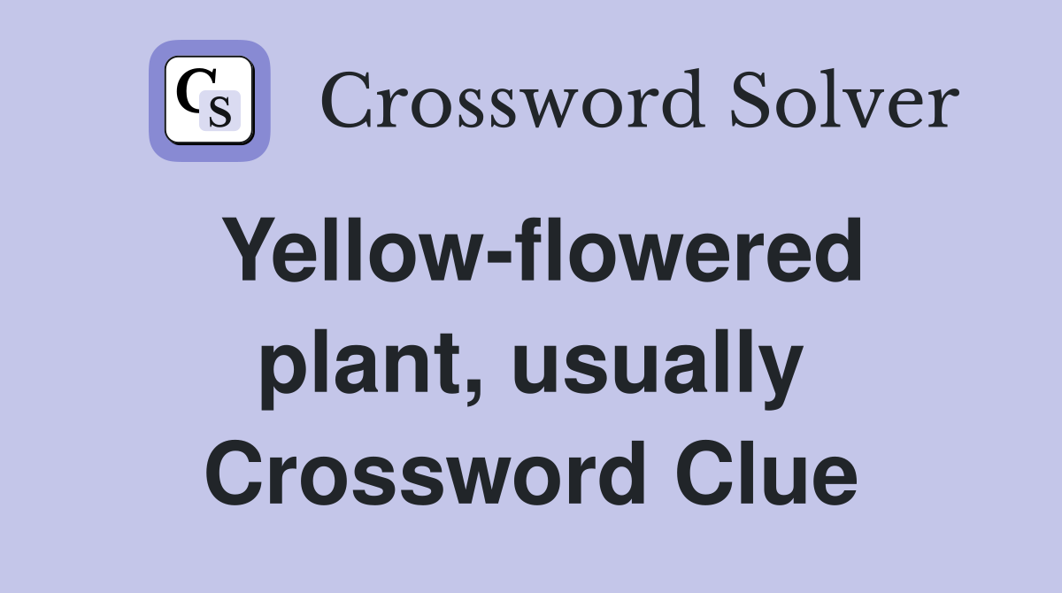 Yellow-flowered plant, usually Crossword Clue