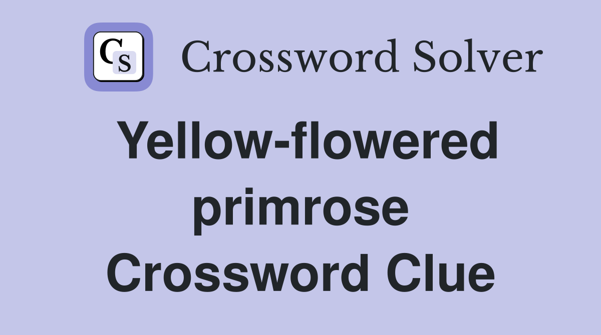 Yellow-flowered primrose Crossword Clue