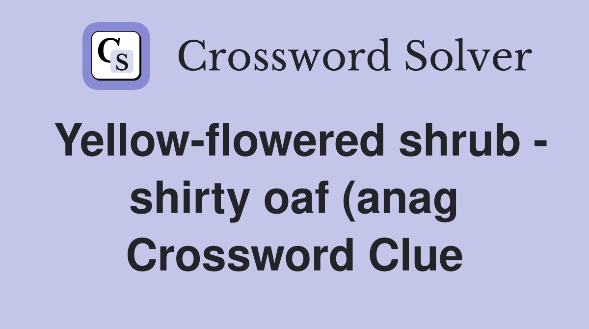 Yellow flowered shrub shirty oaf (anag) (9) Crossword Clue Answers Yellow flowered shrub shirty oaf (anag) (9) Crossword Clue Answers