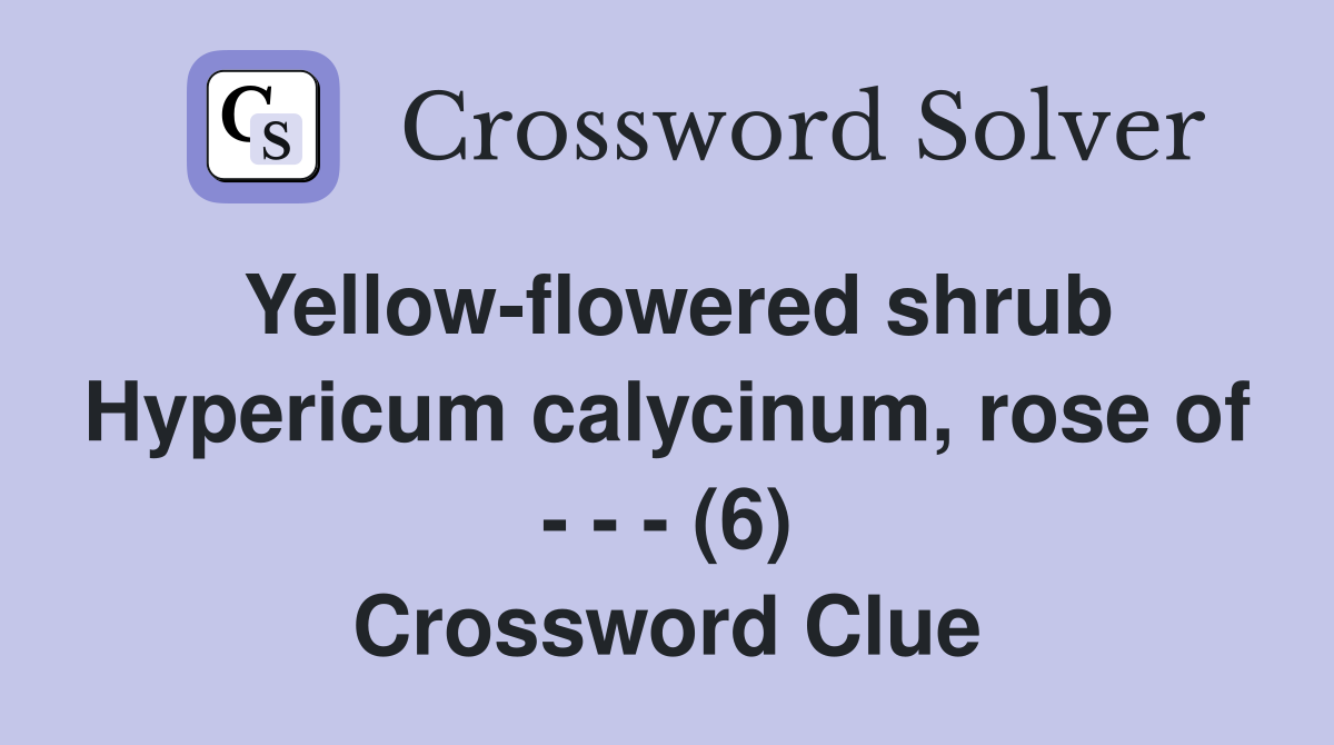 Yellow-flowered shrub Hypericum calycinum, rose of - - - (6) Crossword Clue