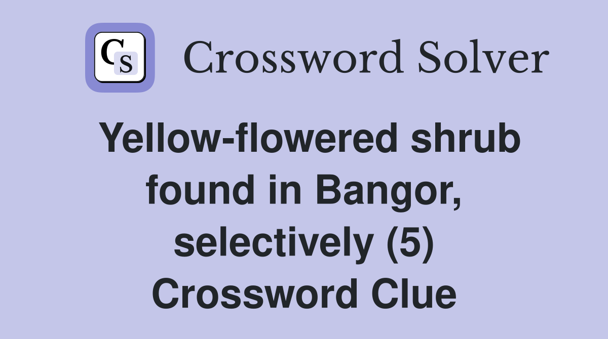Yellow-flowered shrub found in Bangor, selectively (5) Crossword Clue