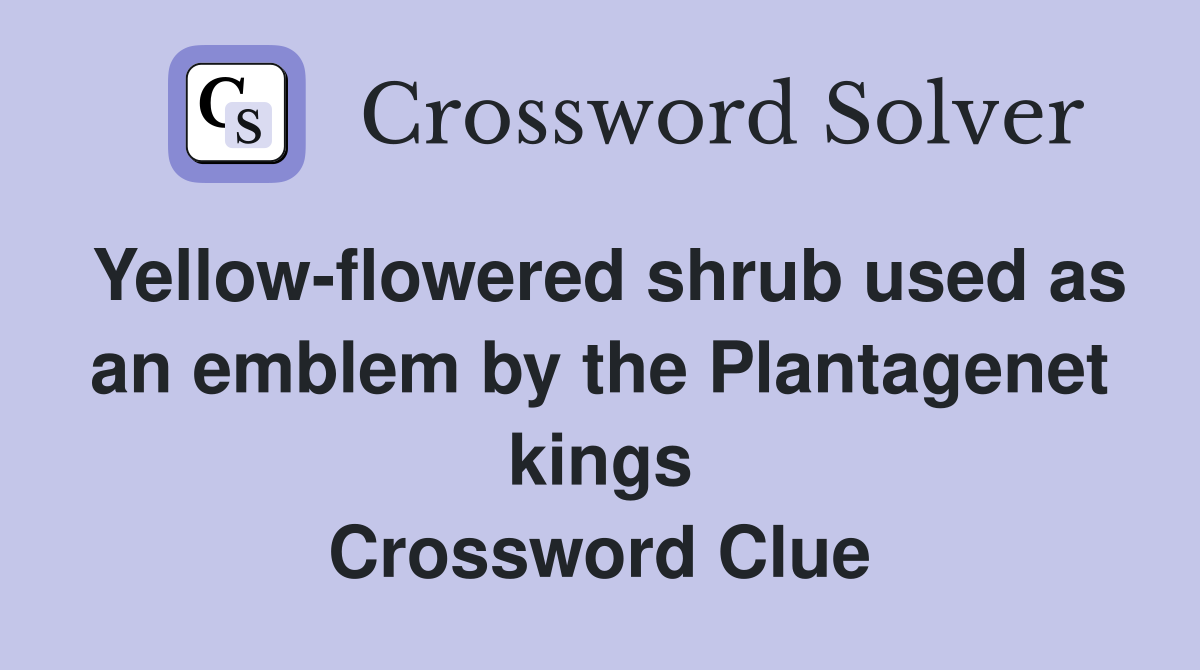 Yellow-flowered shrub used as an emblem by the Plantagenet kings Crossword Clue
