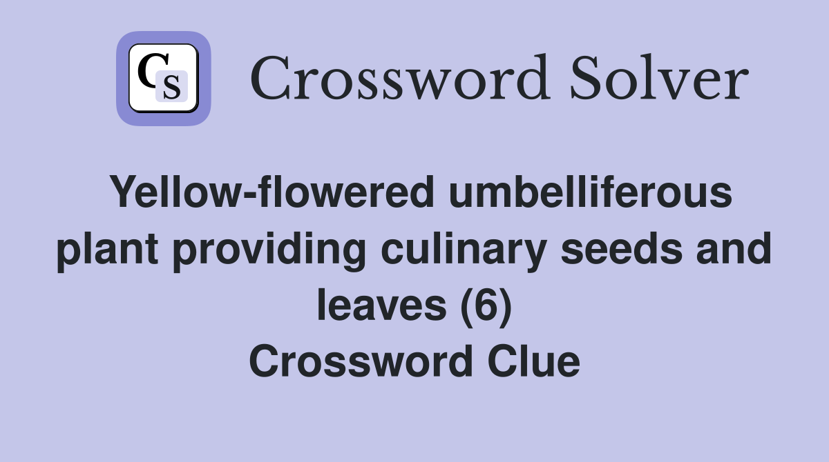 Yellow-flowered umbelliferous plant providing culinary seeds and leaves (6) Crossword Clue