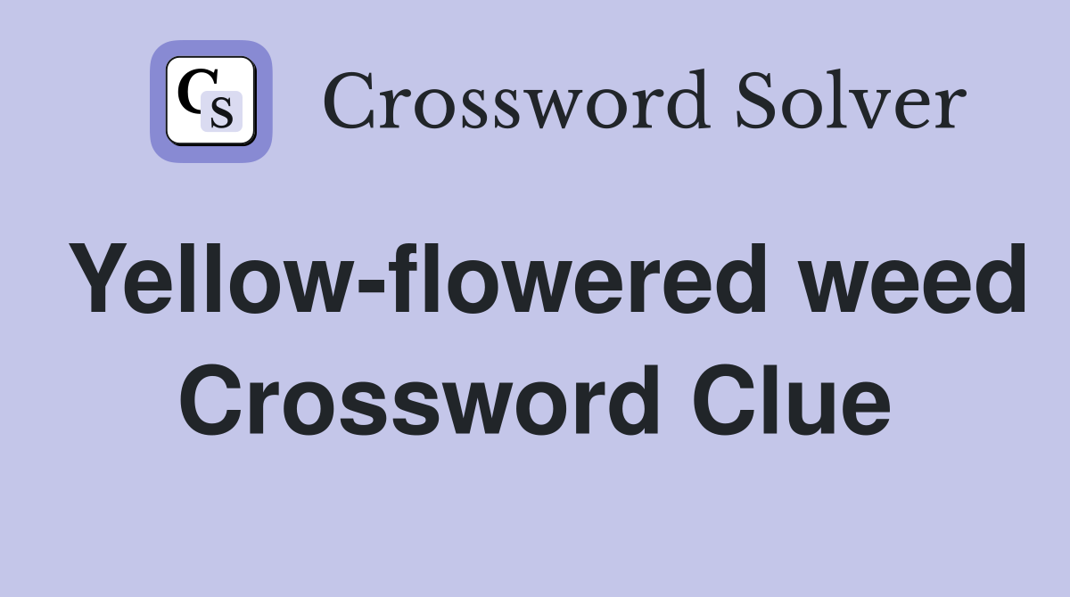 Yellow-flowered weed Crossword Clue