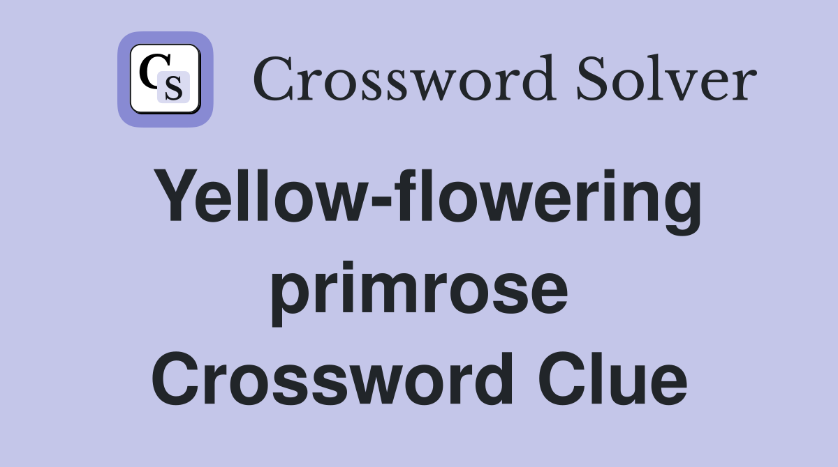 Yellow-flowering primrose Crossword Clue