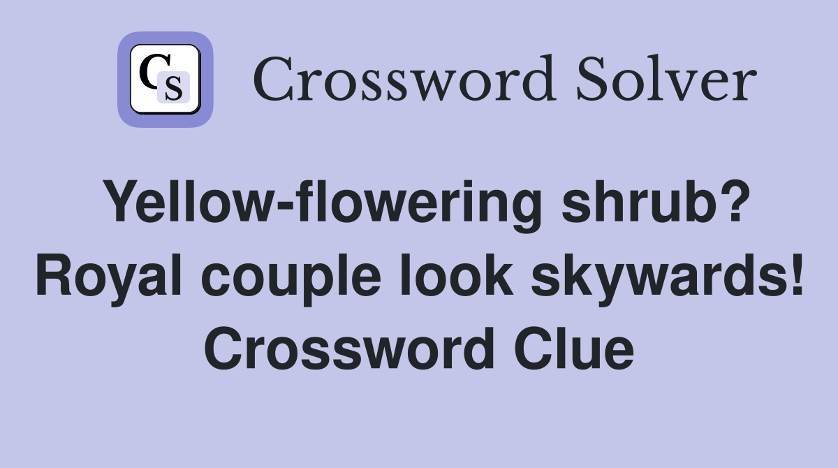 Yellow-flowering shrub? Royal couple look skywards! Crossword Clue