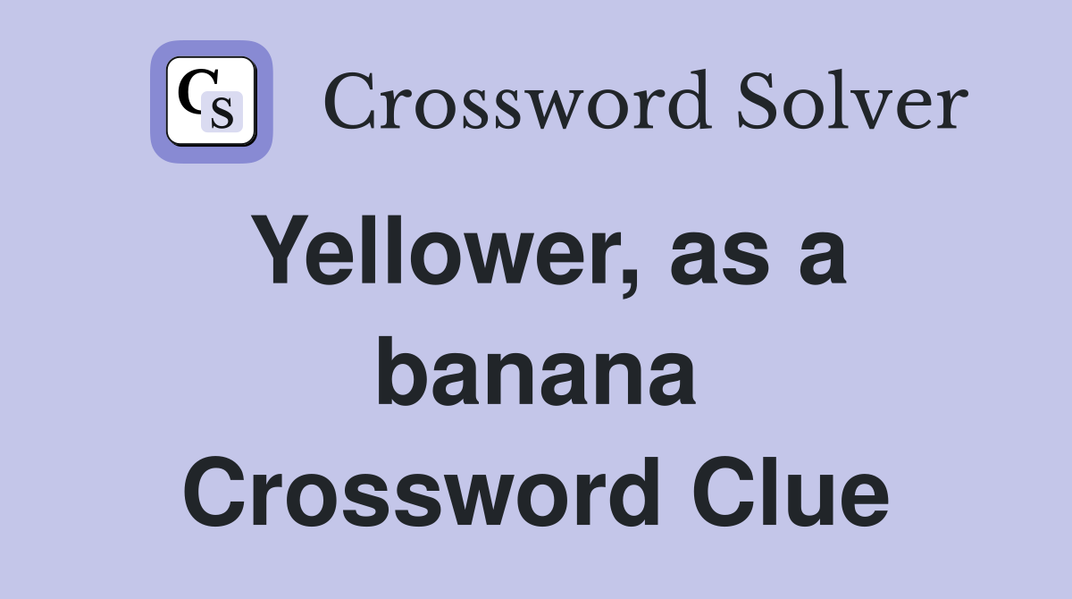 Yellower, as a banana Crossword Clue