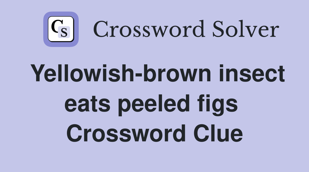 Yellowish-brown insect eats peeled figs  Crossword Clue
