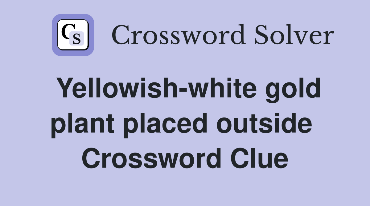 Yellowish-white gold plant placed outside  Crossword Clue