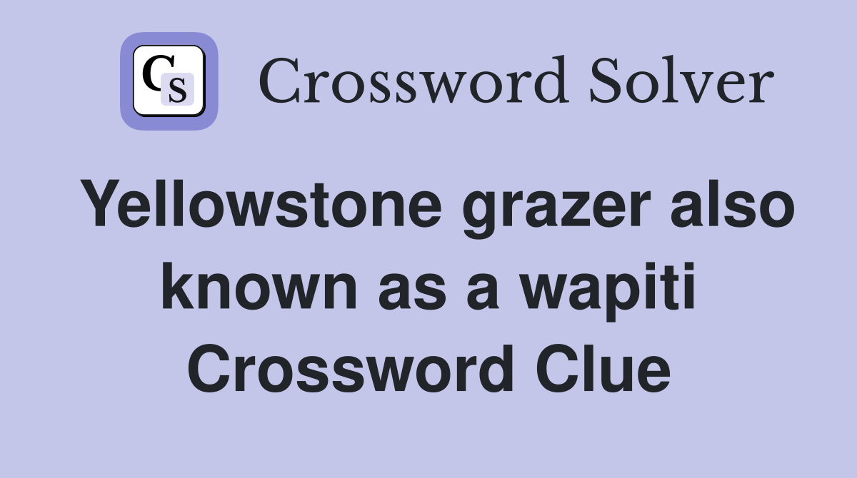 Yellowstone grazer also known as a wapiti Crossword Clue