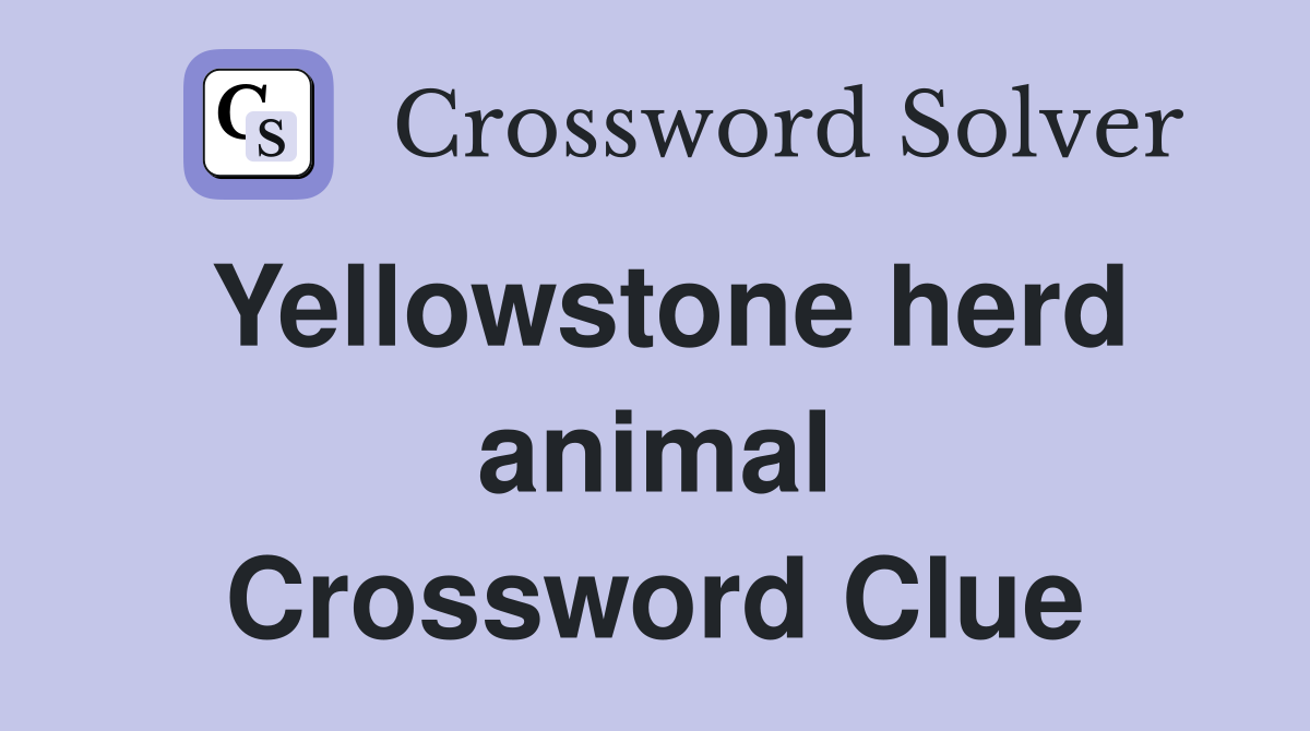 Yellowstone herd animal Crossword Clue