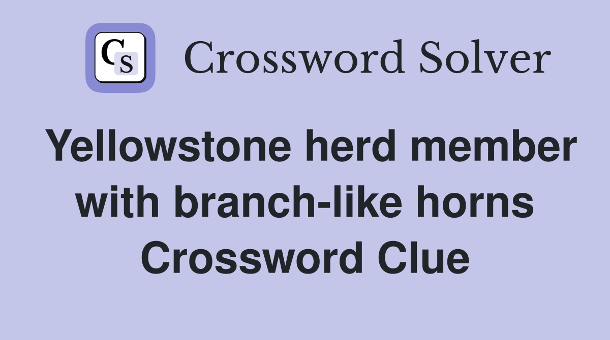 Yellowstone herd member with branch-like horns Crossword Clue