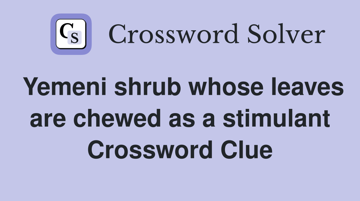 Yemeni shrub whose leaves are chewed as a stimulant Crossword Clue