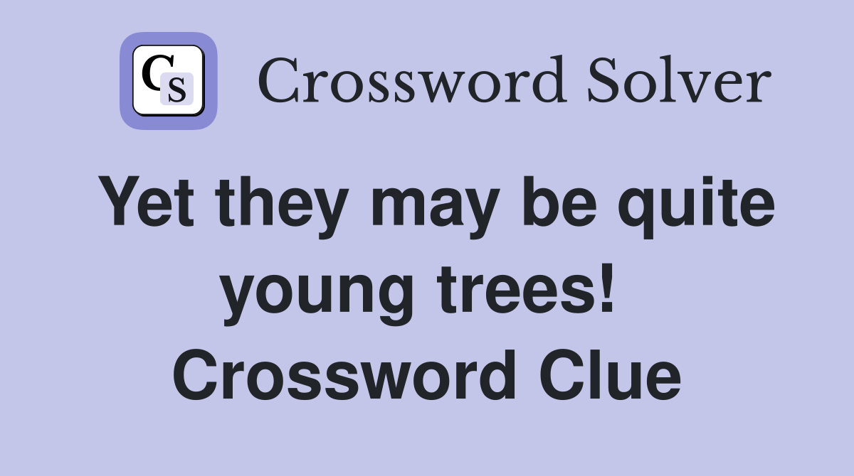 Yet they may be quite young trees!  Crossword Clue