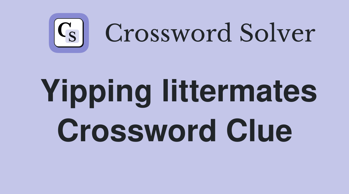 Yipping littermates Crossword Clue