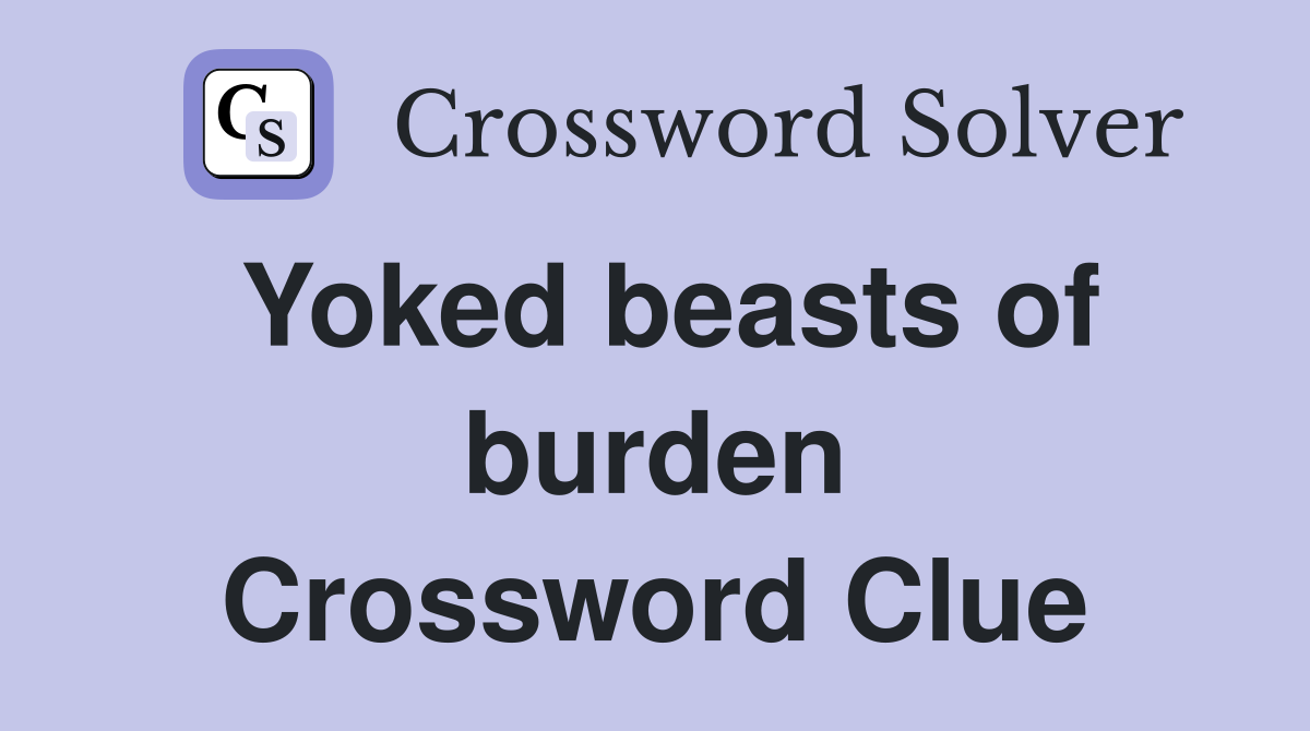 Yoked beasts of burden Crossword Clue