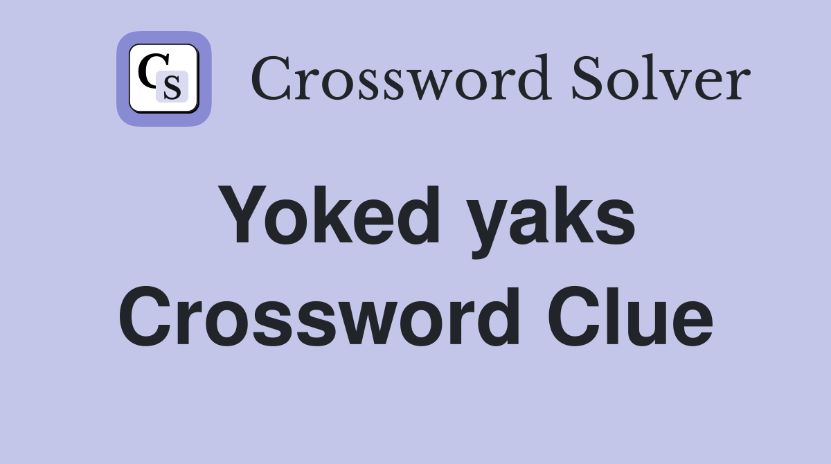 Yoked yaks Crossword Clue