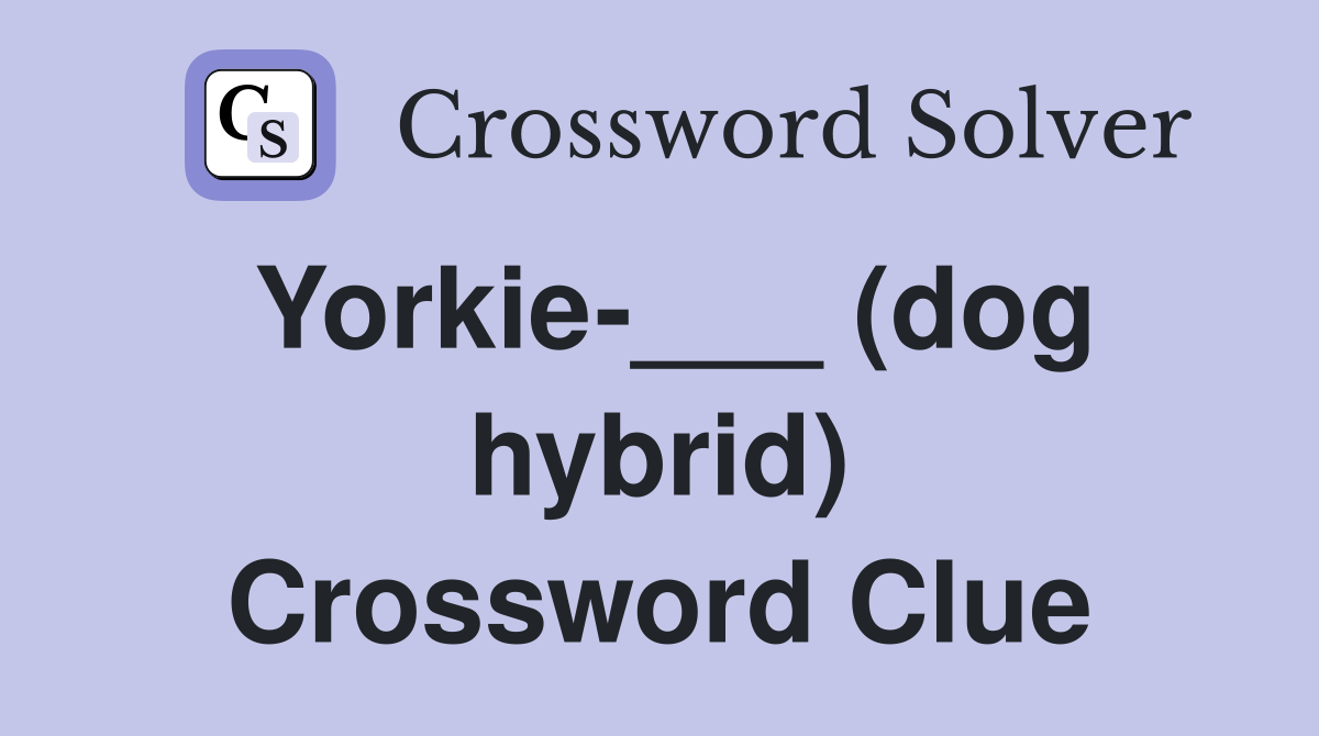 Yorkie-___ (dog hybrid) Crossword Clue