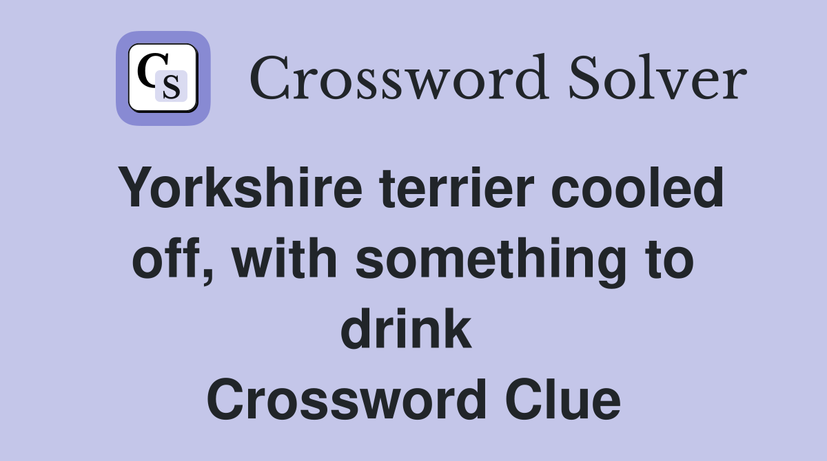 Yorkshire terrier cooled off, with something to drink  Crossword Clue