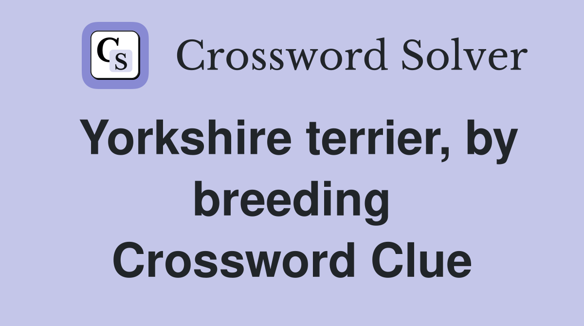 Yorkshire terrier, by breeding Crossword Clue