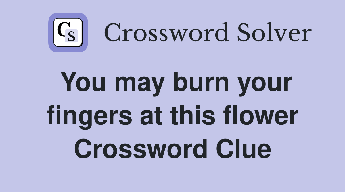 You may burn your fingers at this flower Crossword Clue