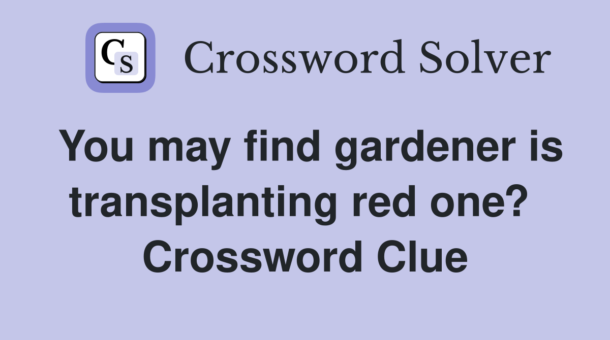 You may find gardener is transplanting red one?  Crossword Clue
