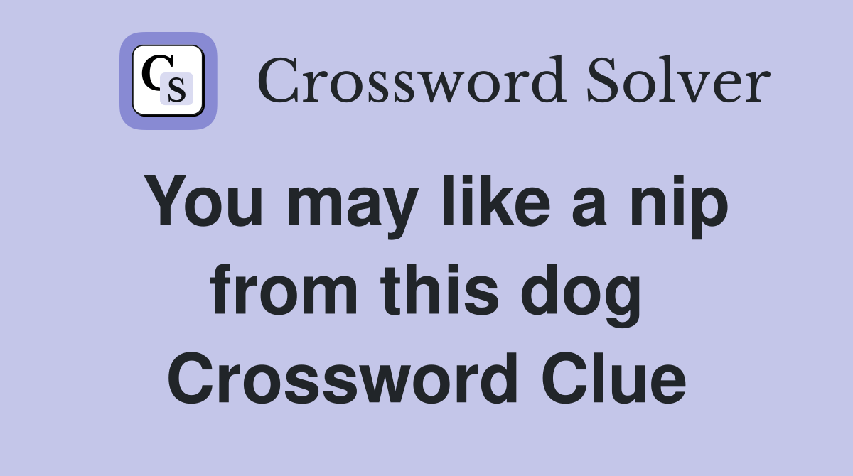 You may like a nip from this dog Crossword Clue