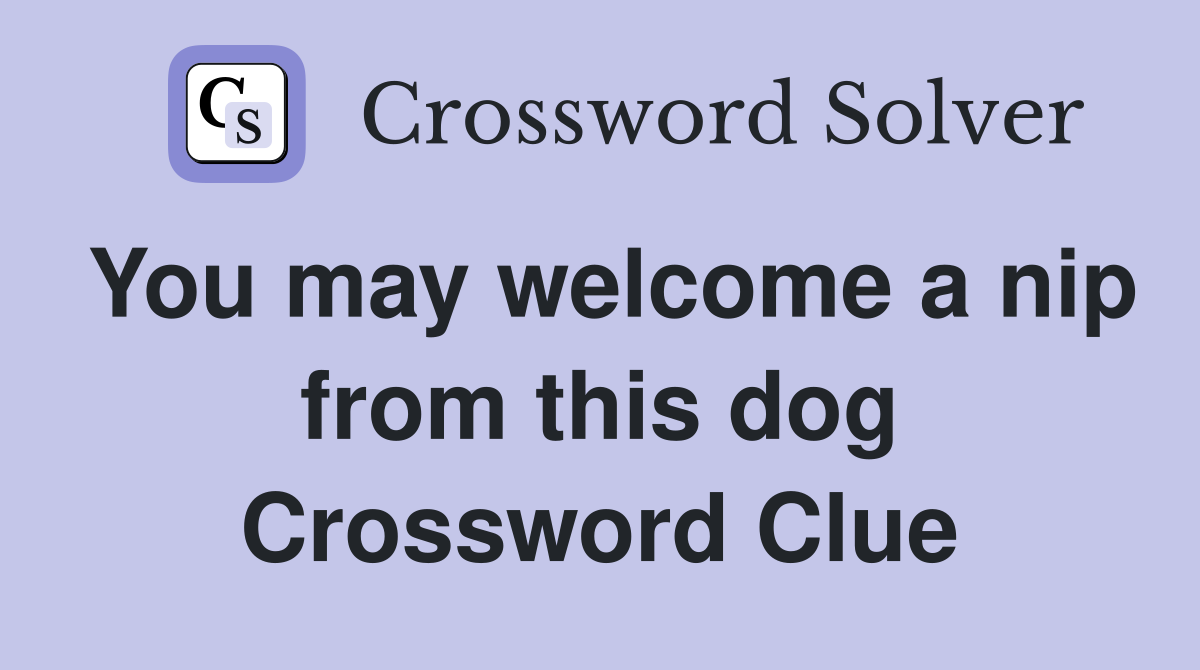 You may welcome a nip from this dog Crossword Clue