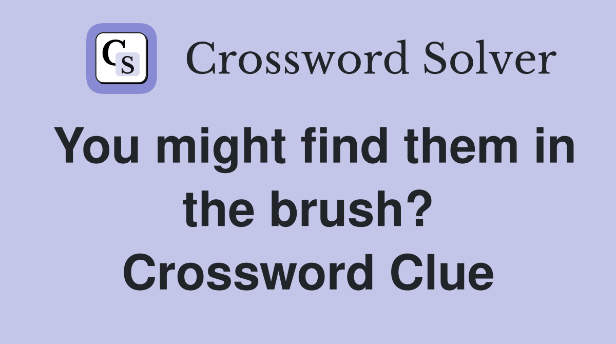 You might find them in the brush? Crossword Clue