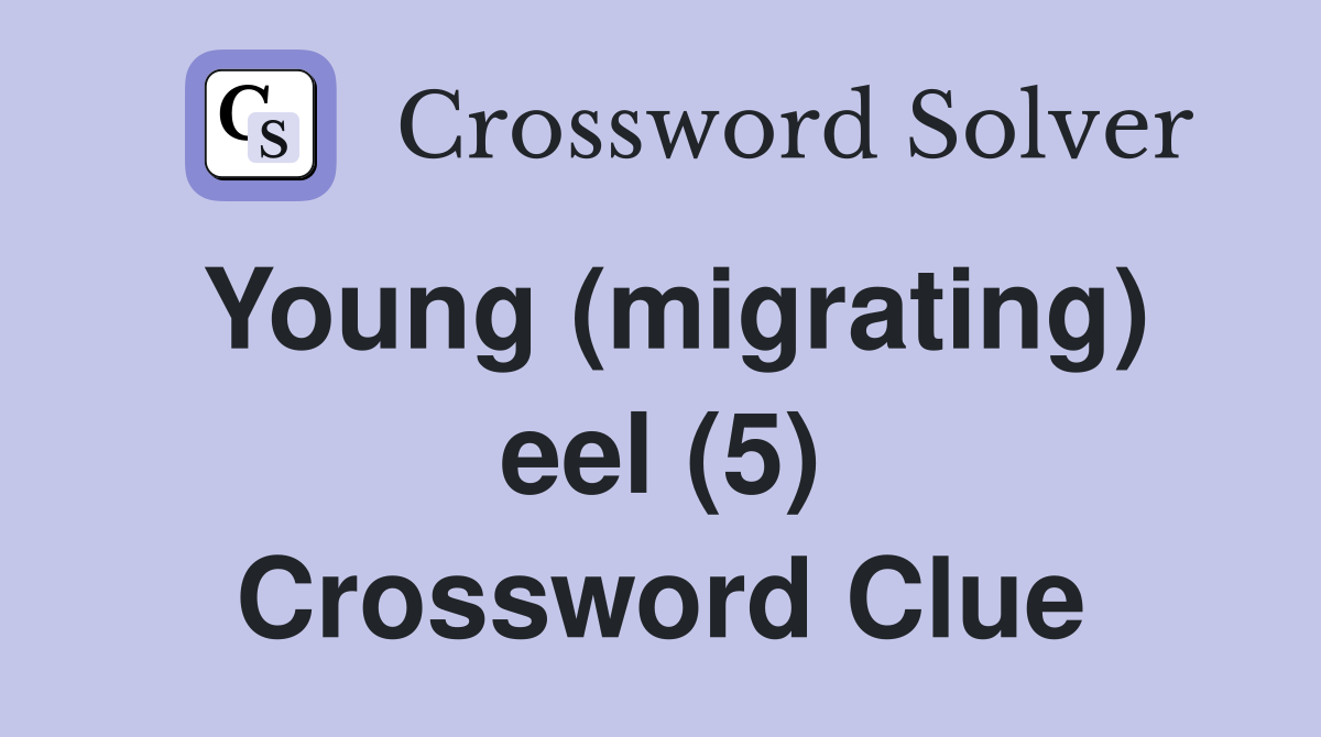 Young (migrating) eel (5) Crossword Clue