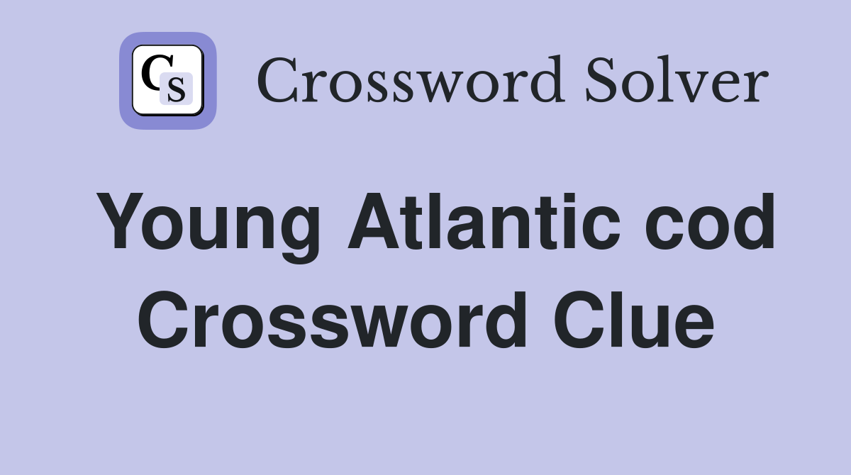 Young Atlantic cod Crossword Clue